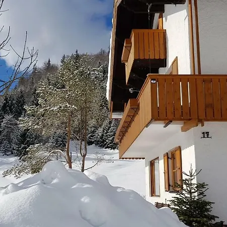 Appartement Am Alten Skihang