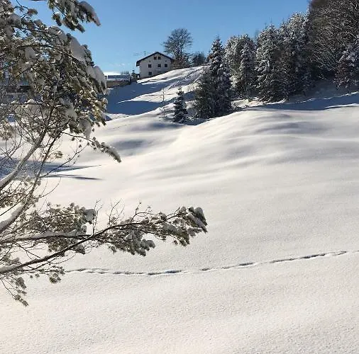 Am Alten Skihang Wallgau